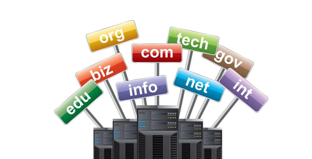 What is the Difference between Hosting and Domain Name?